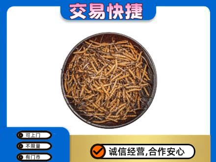 喀什回收散虫草